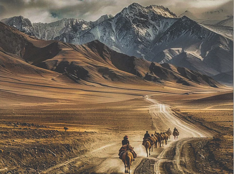 THE SILK ROAD: The Original Menswear Showroom